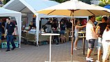 Grillfest 2016