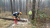Uebungen2017